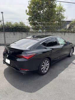 
2023 Acura Integra 1.5T Hatchback Sedan 4D full									